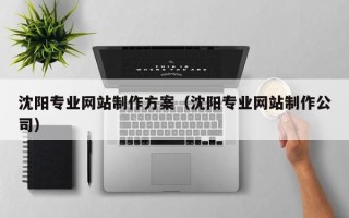泽州沈阳专业网站制作方案（沈阳专业网站制作公司）